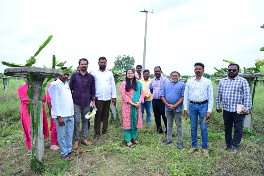డ్రాగన్ ఫ్రూట్ సాగుతో రైతులకు అధిక ఆదాయం