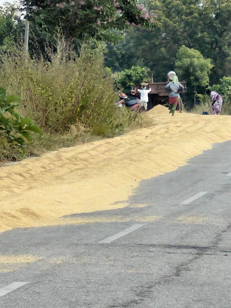 రోడ్లపైనే వడ్ల ఆరబోత